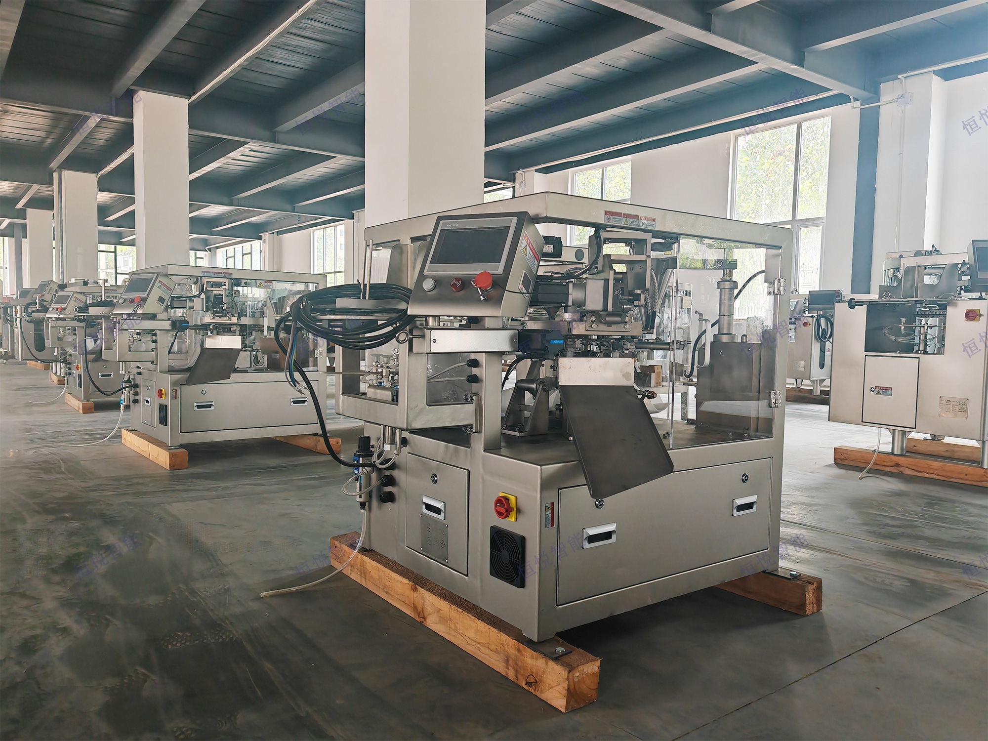 小型给袋式91麻豆免费视频网站高效包装