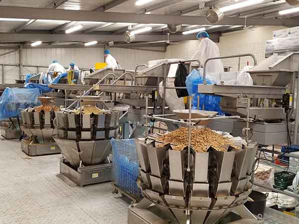 全自动91麻豆免费视频网站智能化联动生产