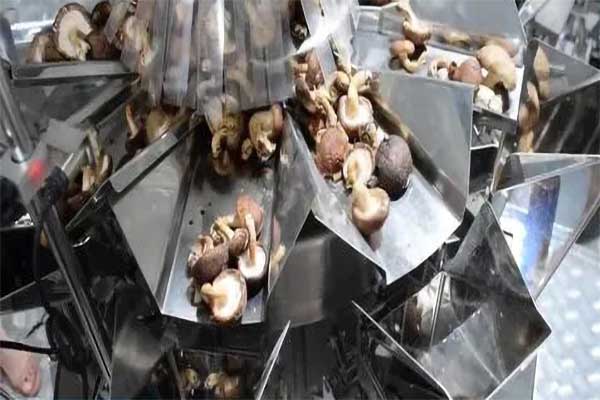 木耳香菇食用菌脱水蔬菜91麻豆免费视频网站