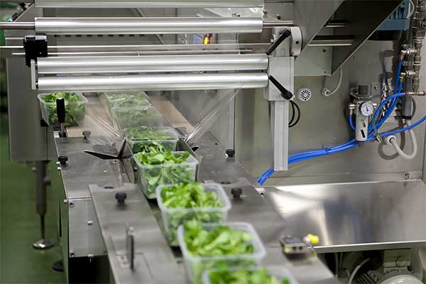 瓜果蔬菜全自动脱水蔬菜91麻豆免费视频网站