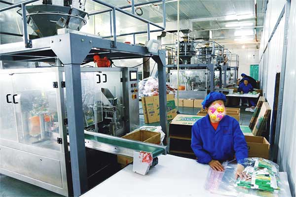 给袋式颗粒全自动91麻豆免费视频网站厂家